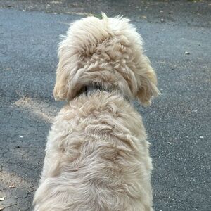 Meet your Posher, Caitlin